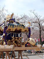 新潟県上越市の高田公園の観桜会時の謙信公みこしの写真