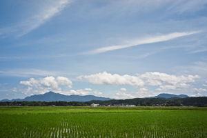 上越写真上越市頸城区鵜ノ木から見た米山と尾神岳前方に広がる田んぼ