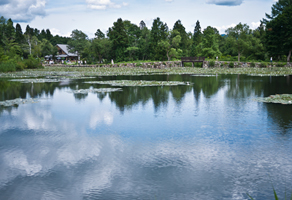 上越写真妙高高原池の平温泉いもり池の風景