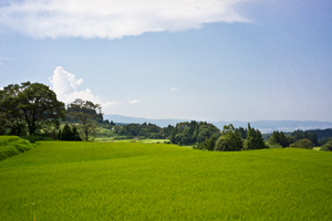 上越写真新潟県上越市板倉区達野の棚田の風景