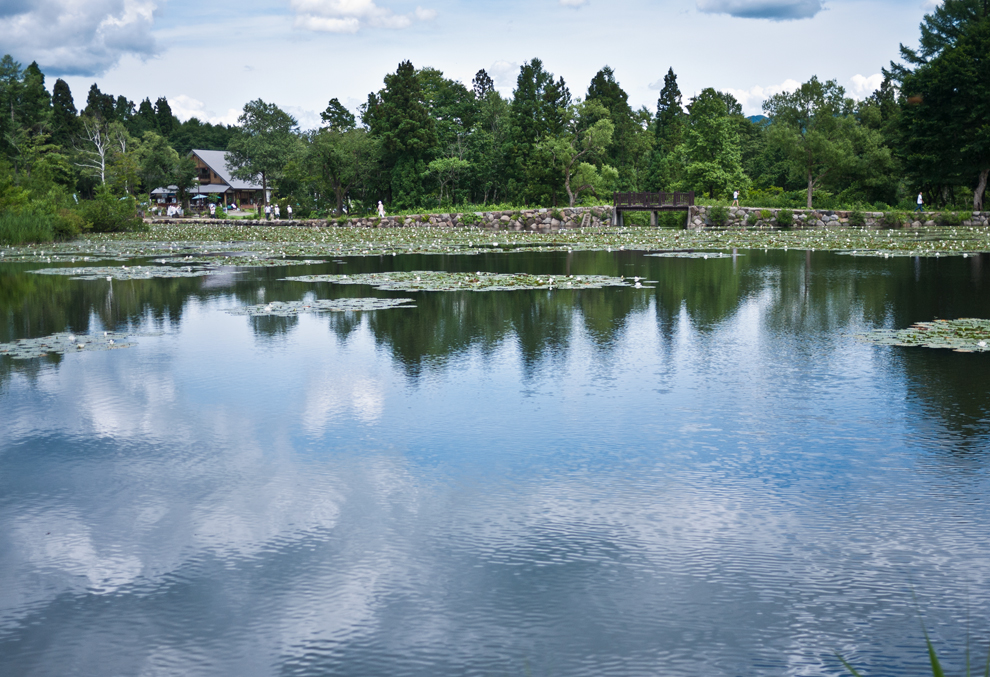 妙高高原池の平温泉にあるいもり池の風景写真