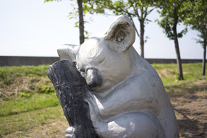 上越写真新潟県上越市直江津の平和記念公園にいるお眠りコアラ