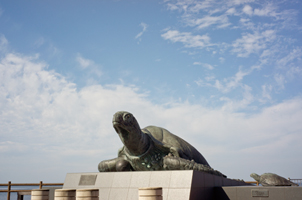 上越写真糸魚川市親不知ピアパークにいた巨大カメのオブジェの全体像