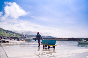 上越写真新潟県上越市の隣町糸魚川市にある筒石漁港での漁師の営み