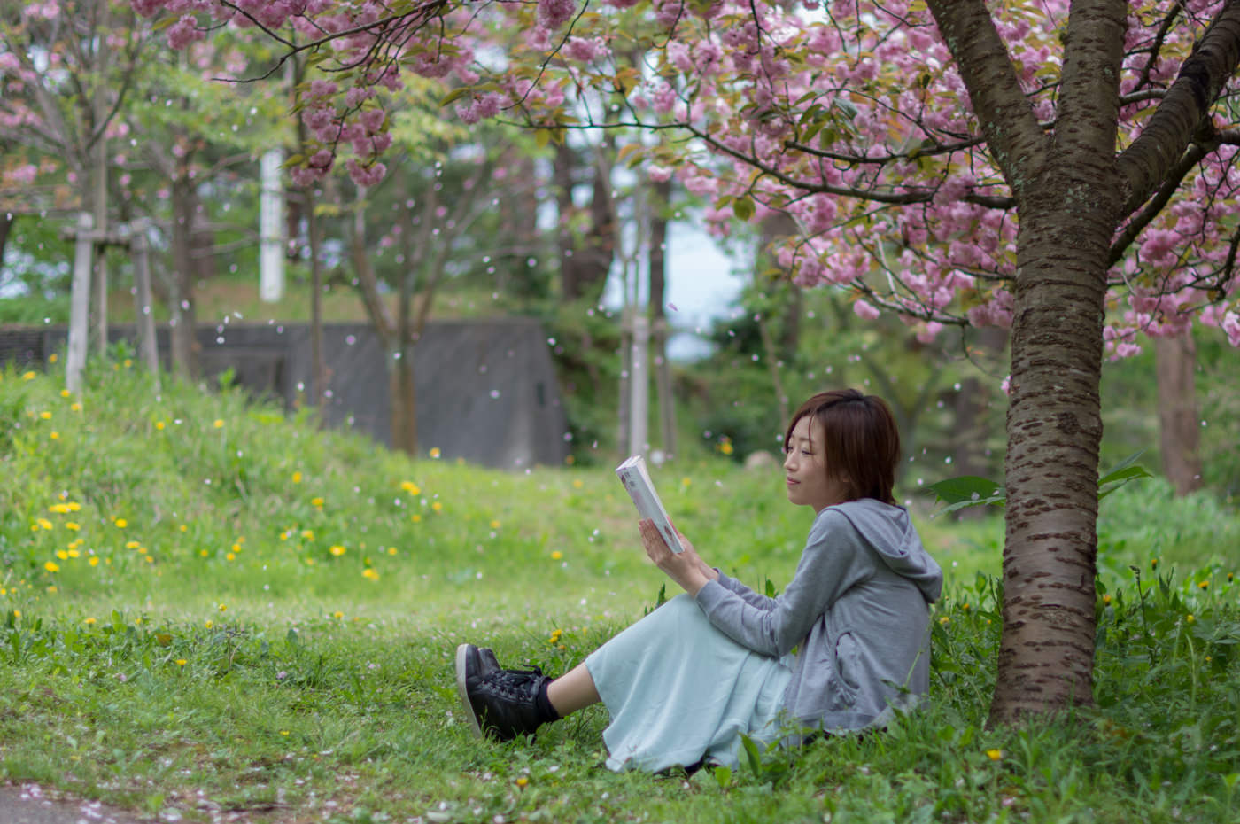 小説「願かけ桜」広城京典 著 上越CMコマーシャル みんなの上越新聞