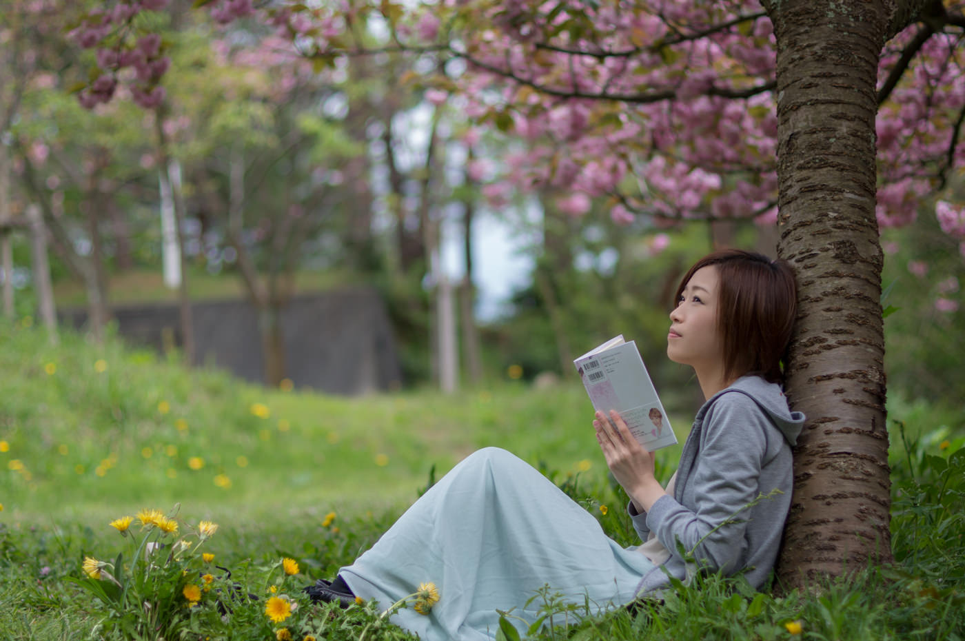 小説「願かけ桜」広城京典 著 上越CMコマーシャル みんなの上越新聞