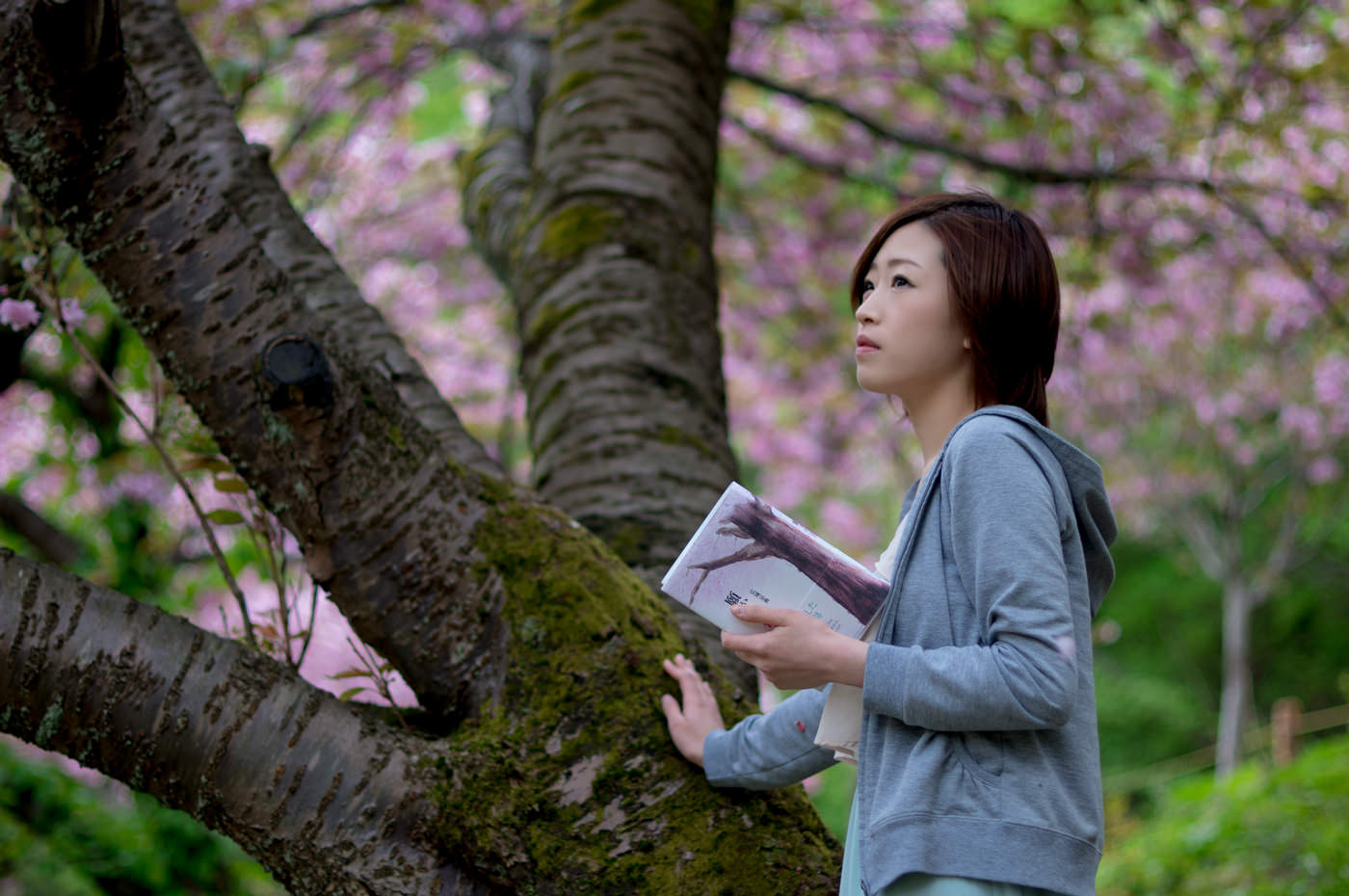 小説「願かけ桜」広城京典 著 上越CMコマーシャル みんなの上越新聞