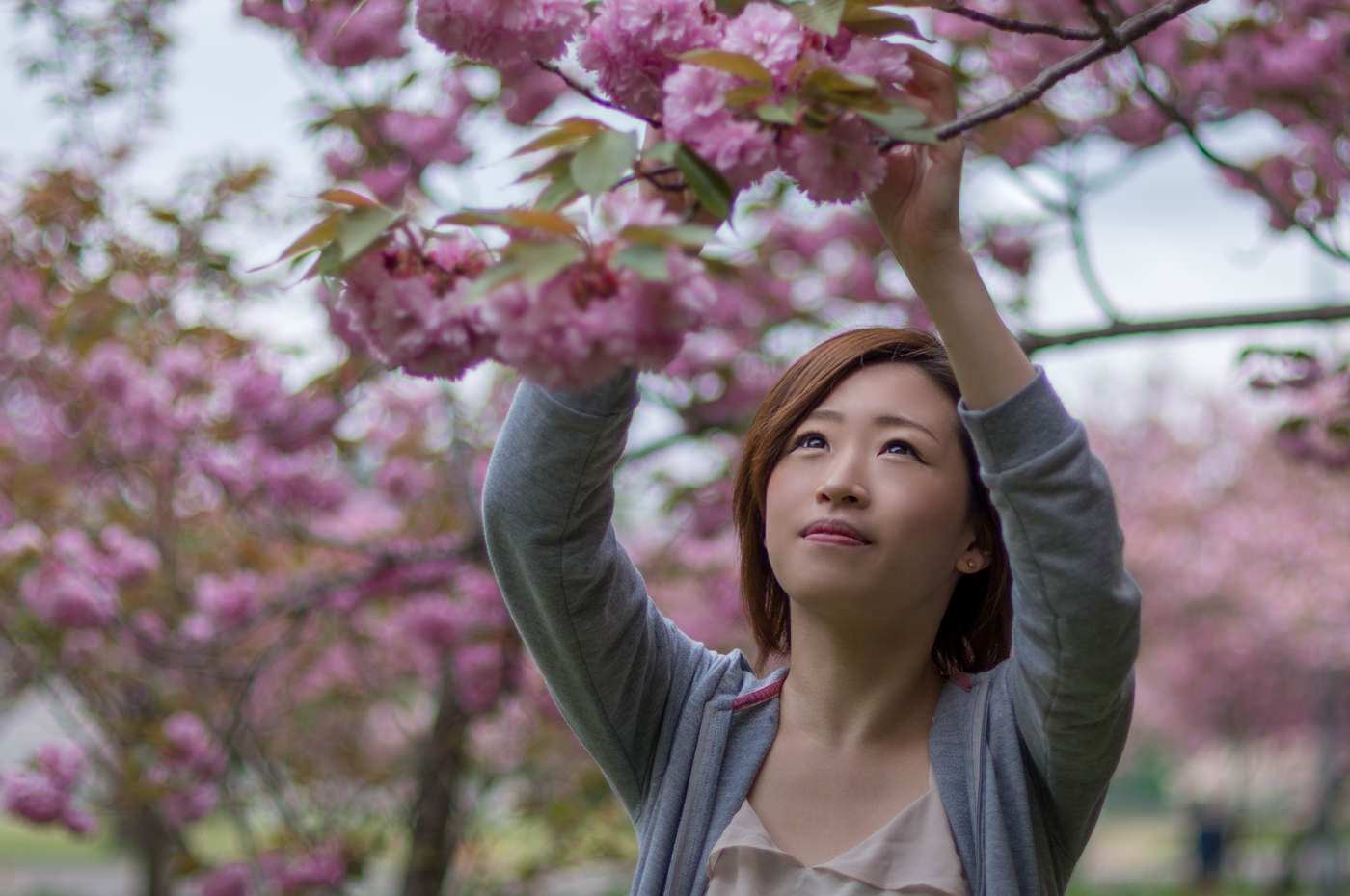 小説「願かけ桜」広城京典 著 上越CMコマーシャル みんなの上越新聞