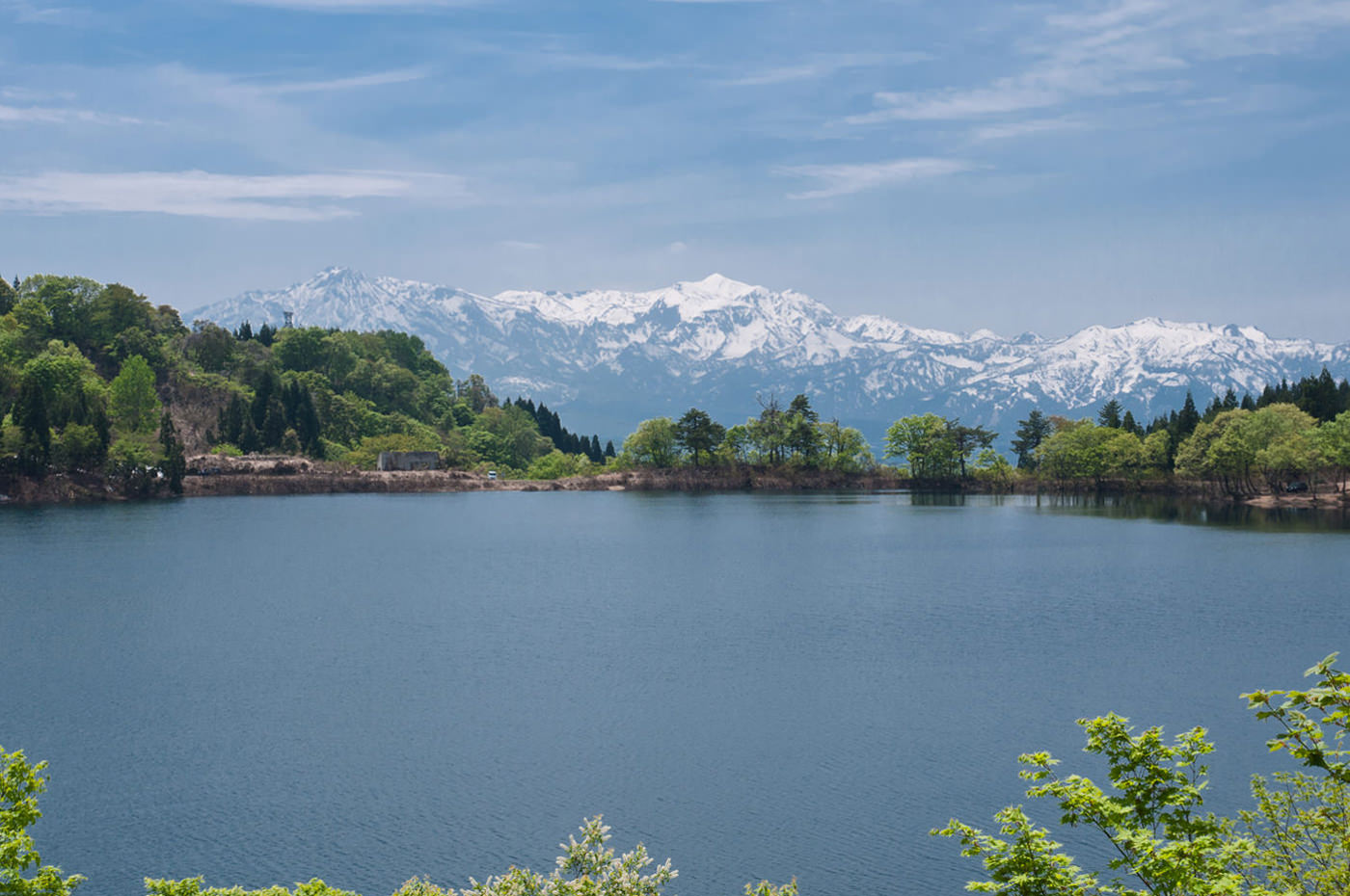 坊ヶ池 上越写真 みんなの上越新聞